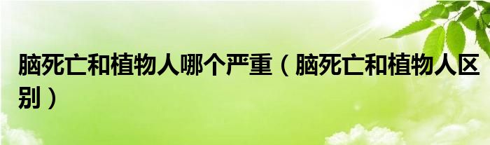 脑死亡和植物人哪个严重（脑死亡和植物人区别）