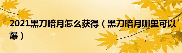 2021黑刀暗月怎么获得（黑刀暗月哪里可以爆）