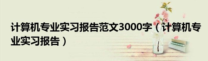 计算机专业实习报告范文3000字（计算机专业实习报告）