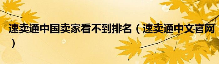 速卖通中国卖家看不到排名（速卖通中文官网）