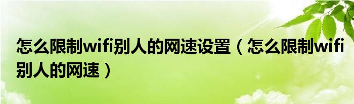 怎么限制wifi别人的网速设置（怎么限制wifi别人的网速）