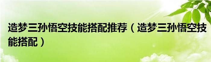 造梦三孙悟空技能搭配推荐（造梦三孙悟空技能搭配）