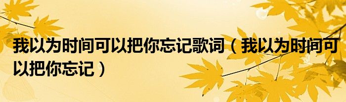 我以为时间可以把你忘记歌词（我以为时间可以把你忘记）