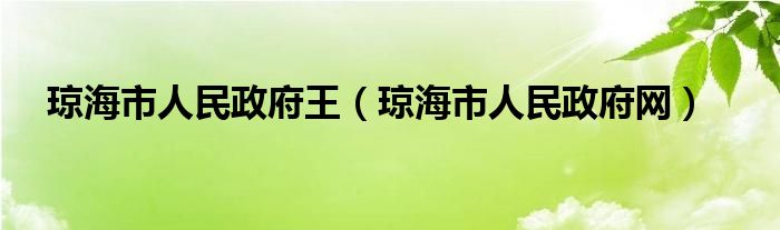 琼海市人民政府王（琼海市人民政府网）