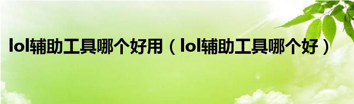 lol辅助工具哪个好用（lol辅助工具哪个好）