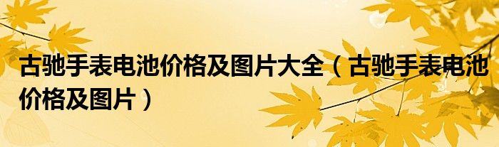 古驰手表电池价格及图片大全（古驰手表电池价格及图片）