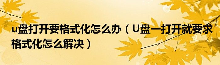 u盘打开要格式化怎么办（U盘一打开就要求格式化怎么解决）