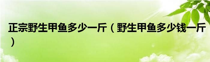 正宗野生甲鱼多少一斤（野生甲鱼多少钱一斤）