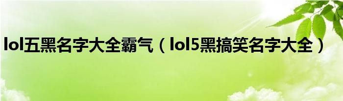 lol五黑名字大全霸气（lol5黑搞笑名字大全）