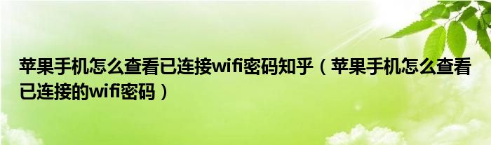 苹果手机怎么查看已连接wifi密码知乎（苹果手机怎么查看已连接的wifi密码）