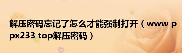 解压密码忘记了怎么才能强制打开（www ppx233 top解压密码）