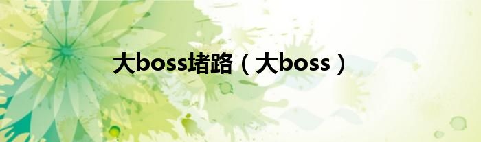 大boss堵路（大boss）