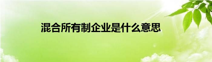 混合所有制企业是什么意思