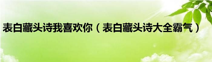 表白藏头诗我喜欢你（表白藏头诗大全霸气）