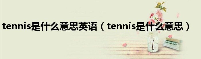 tennis是什么意思英语（tennis是什么意思）