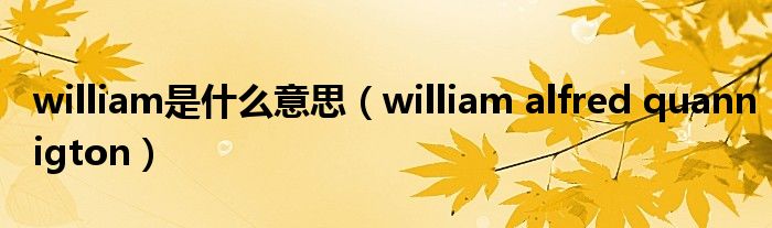 william是什么意思（william alfred quannigton）