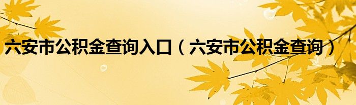 六安市公积金查询入口（六安市公积金查询）