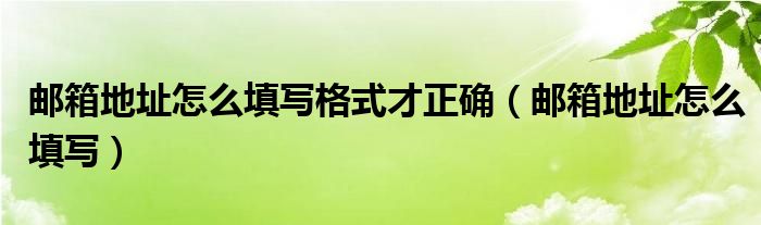 邮箱地址怎么填写格式才正确（邮箱地址怎么填写）