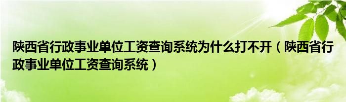 陕西省行政事业单位工资查询系统为什么打不开（陕西省行政事业单位工资查询系统）