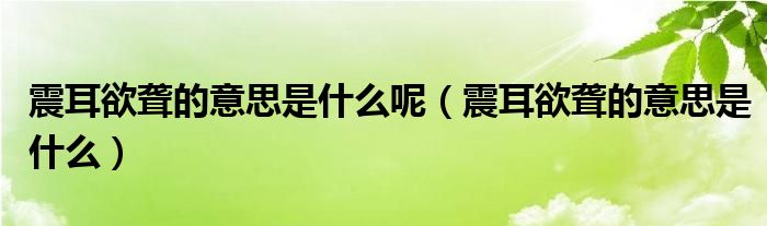 震耳欲聋的意思是什么呢（震耳欲聋的意思是什么）