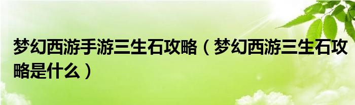 梦幻西游手游三生石攻略（梦幻西游三生石攻略是什么）