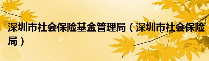 深圳市社会保险基金管理局（深圳市社会保险局）