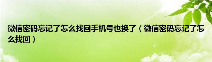 微信密码忘记了怎么找回手机号也换了（微信密码忘记了怎么找回）