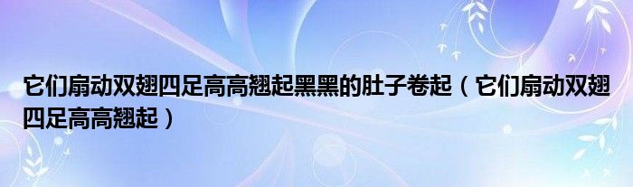 它们扇动双翅四足高高翘起黑黑的肚子卷起（它们扇动双翅四足高高翘起）