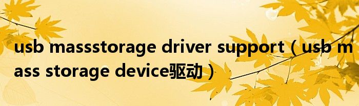 usb massstorage driver support（usb mass storage device驱动）