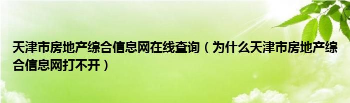 天津市房地产综合信息网在线查询（为什么天津市房地产综合信息网打不开）