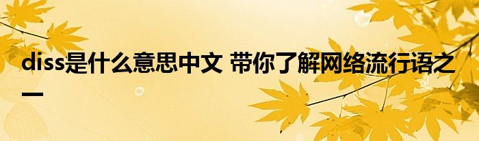 diss是什么意思中文 带你了解网络流行语之一