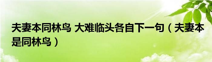 夫妻本同林鸟 大难临头各自下一句（夫妻本是同林鸟）