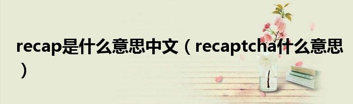 recap是什么意思中文（recaptcha什么意思）