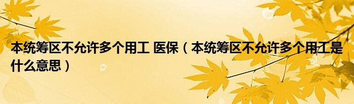 本统筹区不允许多个用工 医保（本统筹区不允许多个用工是什么意思）