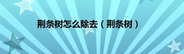 荆条树怎么除去（荆条树）