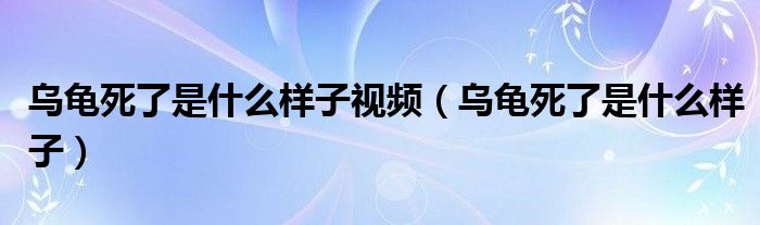 乌龟死了是什么样子视频（乌龟死了是什么样子）