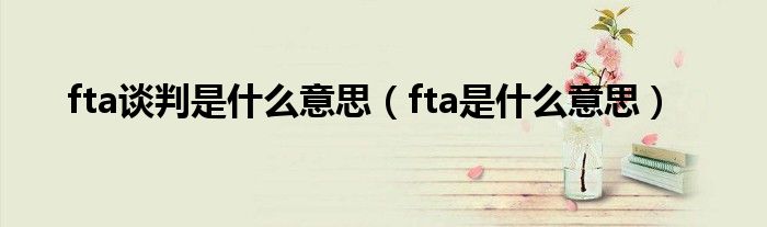 fta谈判是什么意思（fta是什么意思）