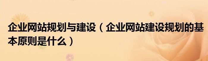 企业网站规划与建设（企业网站建设规划的基本原则是什么）