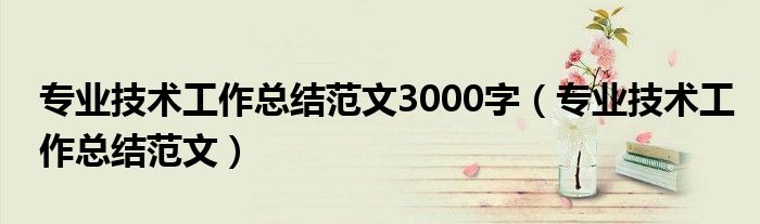 专业技术工作总结范文3000字（专业技术工作总结范文）