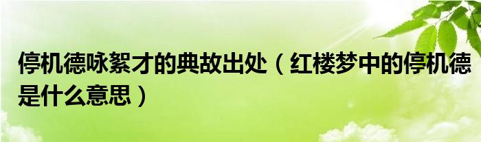 停机德咏絮才的典故出处（红楼梦中的停机德是什么意思）