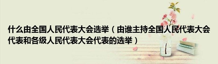 什么由全国人民代表大会选举（由谁主持全国人民代表大会代表和各级人民代表大会代表的选举）