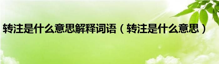 转注是什么意思解释词语（转注是什么意思）