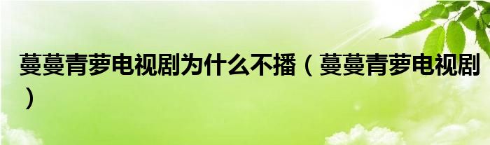 蔓蔓青萝电视剧为什么不播（蔓蔓青萝电视剧）