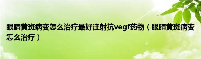 眼睛黄斑病变怎么治疗最好注射抗vegf药物（眼睛黄斑病变怎么治疗）