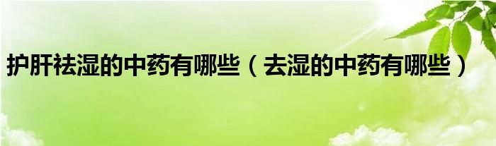 护肝祛湿的中药有哪些（去湿的中药有哪些）