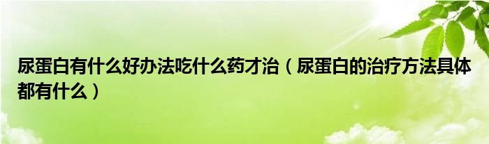 尿蛋白有什么好办法吃什么药才治（尿蛋白的治疗方法具体都有什么）