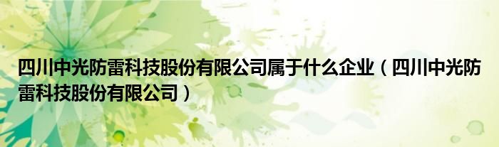 四川中光防雷科技股份有限公司属于什么企业（四川中光防雷科技股份有限公司）