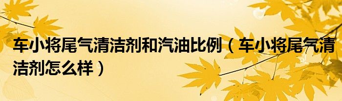 车小将尾气清洁剂和汽油比例（车小将尾气清洁剂怎么样）