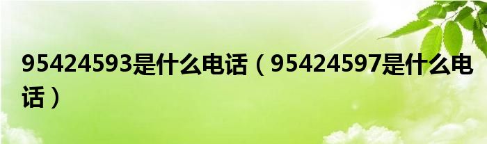 95424593是什么电话（95424597是什么电话）