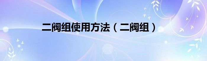 二阀组使用方法（二阀组）